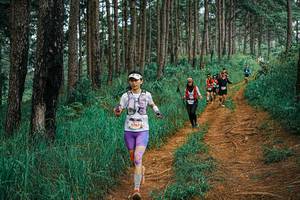 BIB: 
                            <button type="button" onclick="openModal(25672899)" class="btn btn-primary btn-sm float-right btn-popup" data-toggle="modal" data-target=".modal-high-quality">
                        <i class="fas fa-shopping-cart"></i> Add to Cart
                    </button>
                                            <button type="button" onclick="isThisMe(25672899, true)" class="btn btn-success btn-sm float-right btn-popup btn-isme hidden" data-toggle="tooltip" data-placement="bottom" title="นี่คือรูปของคุณใช่ไหม คลิกที่นี่เพื่อเอาเข้าอัลบั้ม">
                        <i class="fas fa-plus"></i> Add to album
                    </button>
                    <button type="button" onclick="isThisMe(25672899, false)" class="btn btn-warning btn-sm float-right btn-popup btn-isnotme hidden">
                        <i class="fas fa-ban"></i> Remove from album
                    </button>